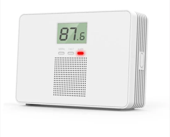 WGH100 Carbon Monoxide Alarm Gas Detector